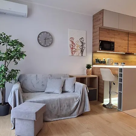 Malta Delux Apartment, Free Parking, Self Check-in 24h, Air-conditioning 波兹南